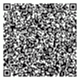 vCard 79379300053