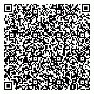 vCard 79379300061