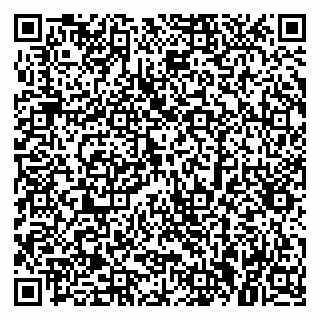 vCard 79379300071
