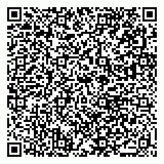 vCard 79379300085