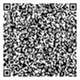 vCard 79379300117