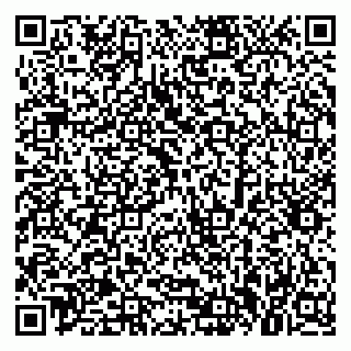 vCard 79379300131