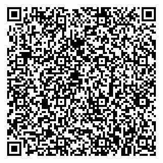 vCard 79379300133