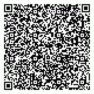 vCard 79379300138
