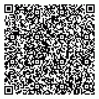 vCard 79379300187