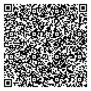 vCard 79379300199