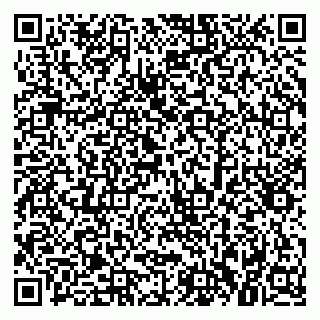 vCard 79379300202