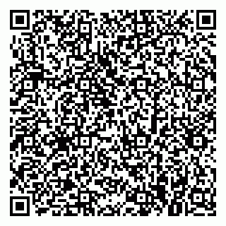 vCard 79379300205