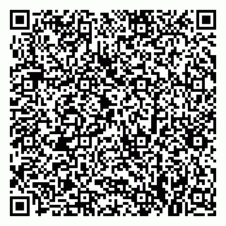 vCard 79379300209