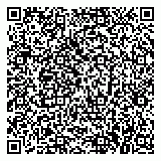 vCard 79379300231