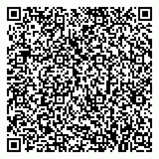 vCard 79379300267