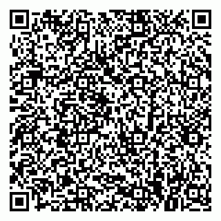 vCard 79379300275