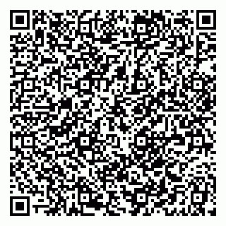 vCard 79379300281