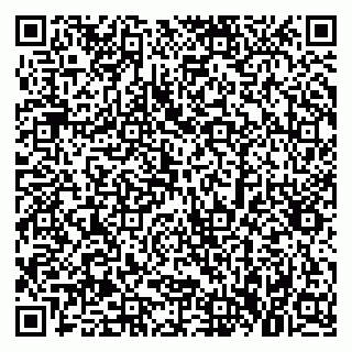 vCard 79379300307