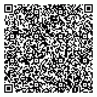 vCard 79379300321