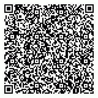 vCard 79379300331