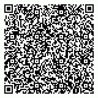 vCard 79379300333