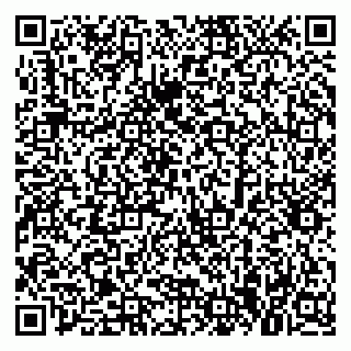 vCard 79379300335