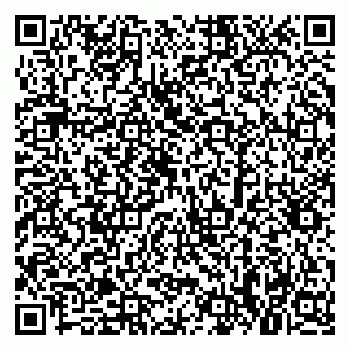 vCard 79379300338