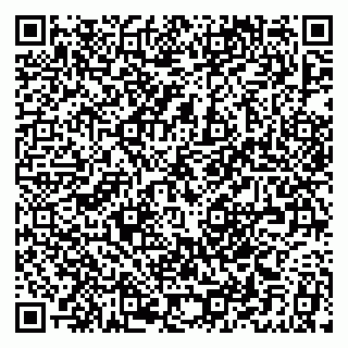 vCard 79379300351