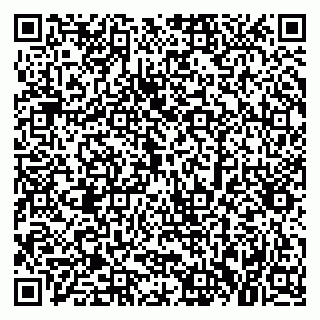 vCard 79379300352