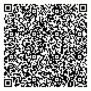 vCard 79379300373