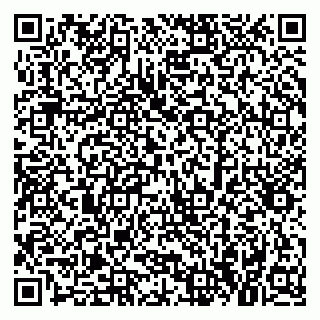 vCard 79379300384