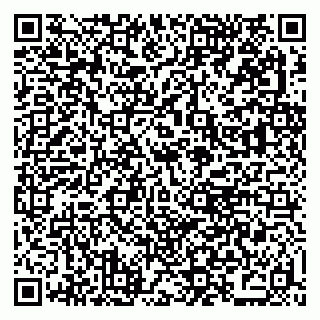 vCard 79379300385