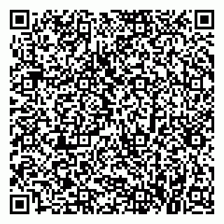 vCard 79379300387