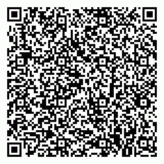 vCard 79379300395