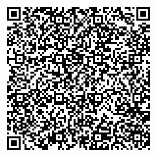 vCard 79379400028