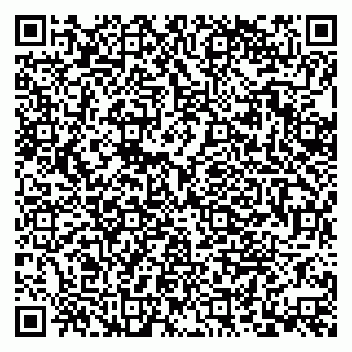 vCard 79379400038