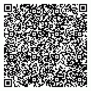 vCard 79379400049