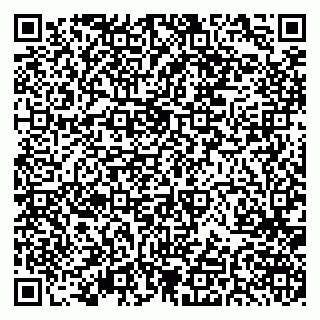 vCard 79379400065