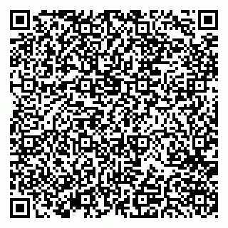 vCard 79379400080