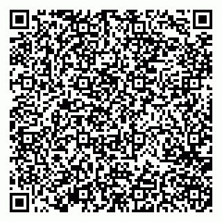 vCard 79379400085