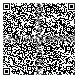 vCard 79379400113
