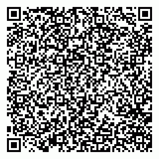 vCard 79379400131