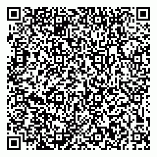vCard 79379400132