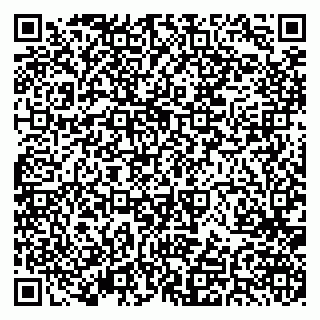 vCard 79379400141
