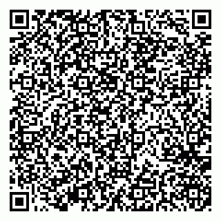 vCard 79379400153