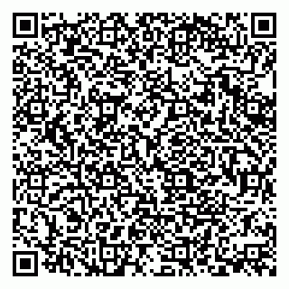 vCard 79379400159