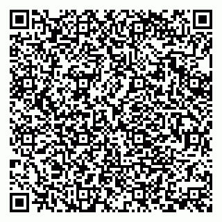 vCard 79379400161