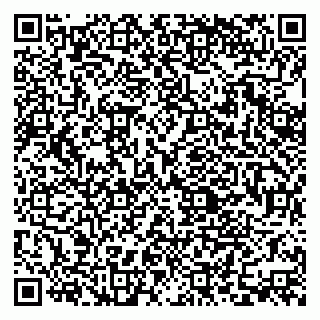 vCard 79379400205