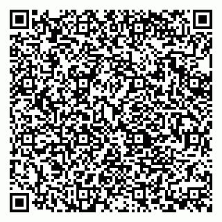 vCard 79379400208