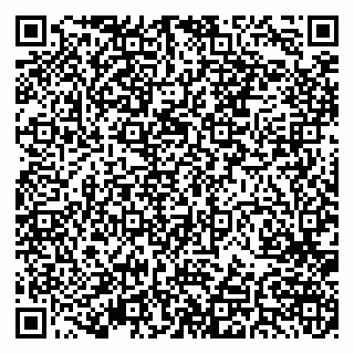 vCard 79379400211