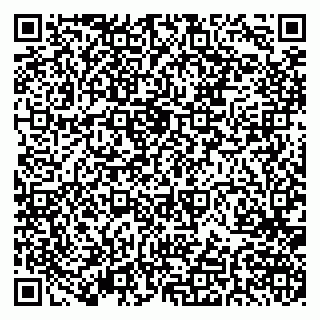 vCard 79379400213