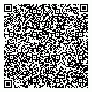vCard 79379400217