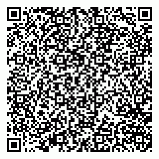vCard 79379400233