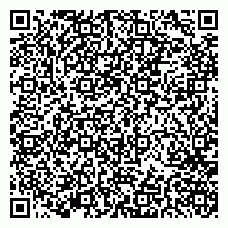 vCard 79379400263